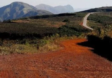 Projeto de alargamento da Estrada do Rola-Moça prevê proteção à fauna e legado permanente ao Parque Estadual